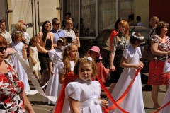 DSC_1520.JPG