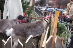 2009_12260145.JPG