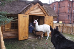 2012_12260065.JPG
