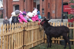 2012_12260073.JPG