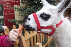 2012_12260088.JPG
