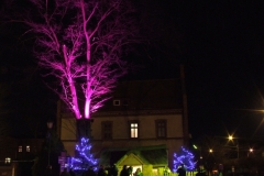 2012_12260113.JPG