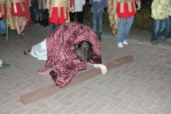 IMGP0078.JPG