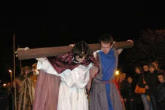 IMGP0103.JPG