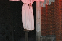 IMGP0174.JPG