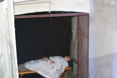 IMGP0207.JPG