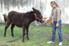 2012-0603024.JPG