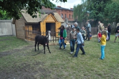 2012-0603026.JPG