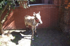 201106090022.JPG