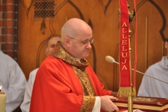 DSC_9536.JPG
