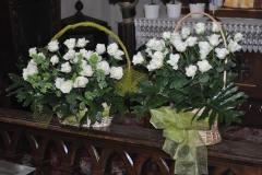 DSC_9568.JPG