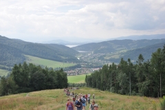 d71.JPG