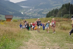 d74.JPG