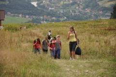 d78.JPG