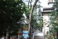2012_06280233.JPG