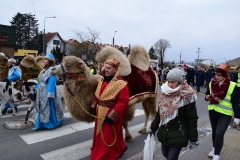 DSC_2427.JPG